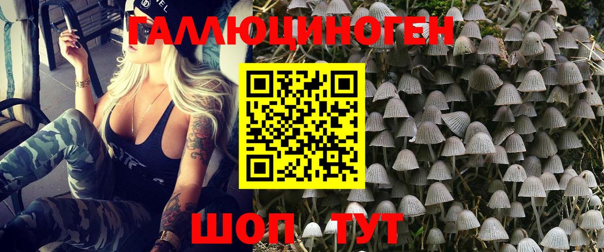 Галлюциногенные грибы Magic Shrooms  Вход с VPN  Кудрово 